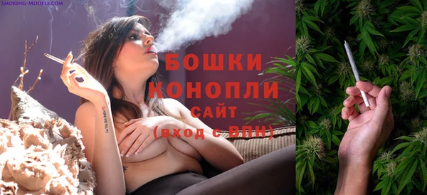 гидра Горно-Алтайск