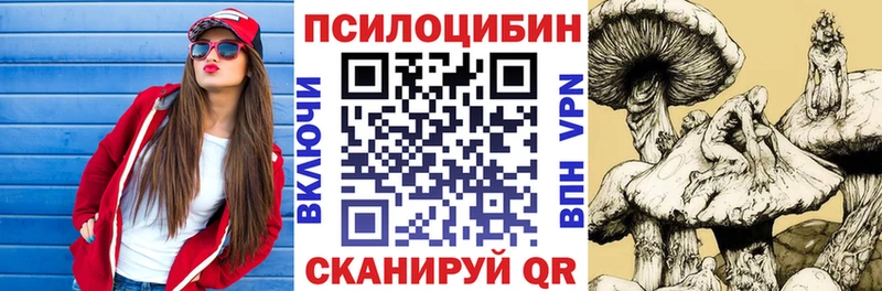 купить наркоту  MEGA ссылки  Псилоцибиновые грибы Psilocybine cubensis  Саранск 